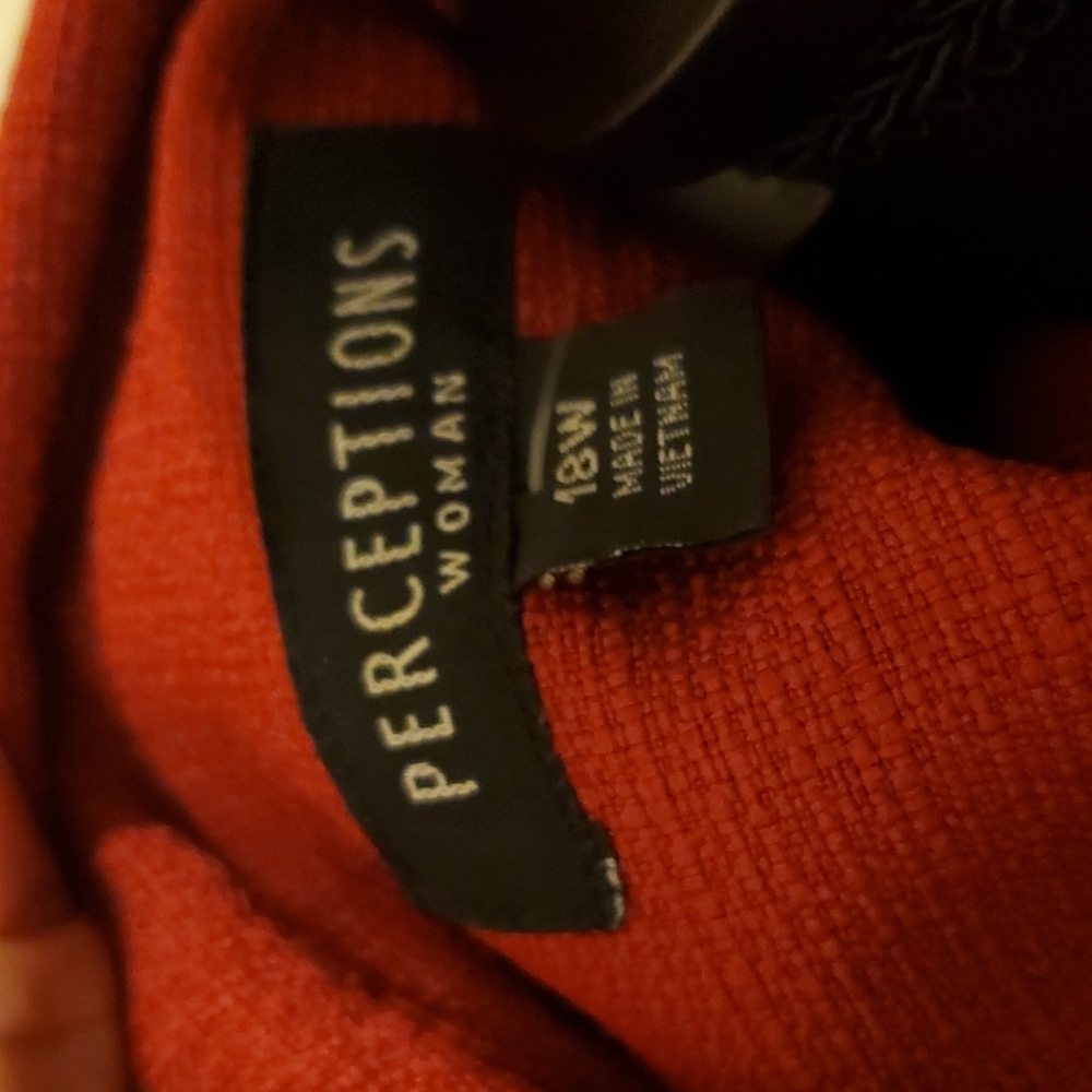 Perceptions Woman - image 3